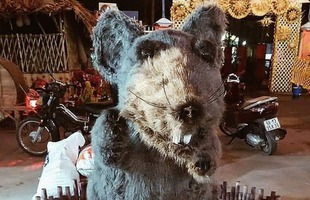 Hết Pika Long, chuột xù Củ Chi là linh vật tiếp theo trúng lời nguyền của năm 2020?