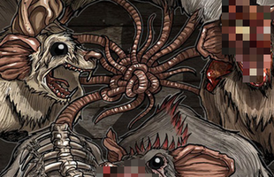 "Vua chuột": Tên thì hay nhưng lại là hiện tượng kinh dị hiếm gặp và đầy nguy hiểm liên quan đến "cậu Tí"