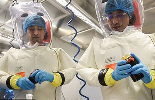 Xuất hiện giả thuyết virus corona có liên quan đến chương trình vũ khí sinh học ở Vũ Hán