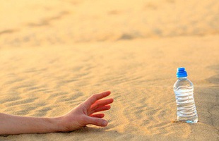 Câu hỏi phỏng vấn "hack não": Trong sa mạc có 2 cốc nước, 1 ly nước tiểu của ngựa, 1 ly nước tiểu của người, bạn sẽ chọn cái nào để uống khi sắp chết khát?