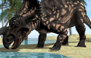 8 sự thật động trời trên thế giới này sẽ khiến bạn sững sốt, đặc biệt là nguồn gốc nước chúng ta đang uống mỗi ngày