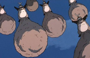 Tìm hiểu về Tanuki - Loài sở hữu 2 "hòn bi" khỏe nhất yêu giới Nhật Bản (P.1)