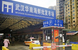 "Ông trùm" chưa học hết tiểu học và gia tộc bí ẩn đứng sau chợ hải sản Vũ Hán bị phát hiện virus nCov