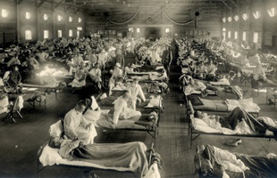 Những sự thật ít người biết về virus: Chúng đến từ đâu, lây lan và gây bệnh như thế nào?