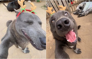 Idol Nguyễn Văn Dúi bất ngờ tái xuất, selfie mừng Noel "bá đạo" khiến CĐM vừa tức vừa buồn cười