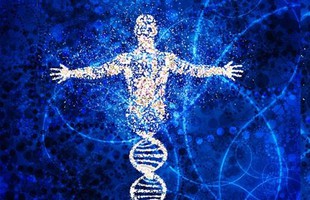 Đâu chỉ gây bệnh, có hàng trăm nghìn tỷ virus đang sống "thiện lành" trong cơ thể chúng ta