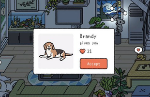 Món quà "cắt hành" vô giá từ Adorable Home: Chú chó đã mất ngoài đời bỗng hiện về trong game tìm đúng chủ cũ