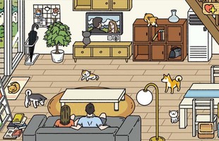 Adorable Home dần trở nên nhàm chán, một bộ phận game thủ rủ nhau "đếm ngược tới ngày tàn"