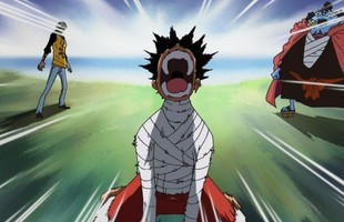 Luffy chính là "ngôi sao" trong thế giới One Piece khi sở hữu mạng lưới đồng minh khổng lồ