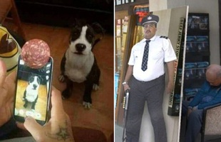 Loạt tình huống giải quyết khó khăn của các thiên tài, vừa hài hước mà cũng vừa thông minh hết nấc