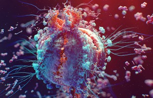 Tìm hiểu về Virus – Những thực thể “sống lỗi” nhất trên Trái Đất