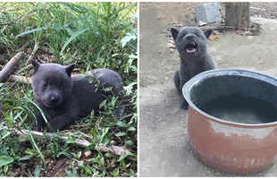 Cộng đồng mạng ngạc nhiên khi khám phá ra anh em "cùng cha khác ông nội" của Nguyễn Văn Dúi, cũng "mắt lác", thần thái như idol