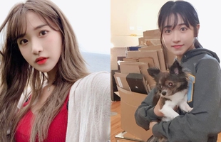 Vô tình "hớ hênh" trên sóng, nữ streamer gặp "tai nạn", bị cấm kênh ngay lập tức