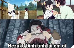 Giải tỏa căng thẳng với loạt ảnh chế Kimetsu no Yaiba siêu hài hước, các trụ cột thay nhau tấu hài