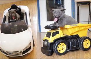 "Idol" Nguyễn Văn Dúi sinh hoạt ngày càng sang chảnh nhưng "độ gợi đòn" thì vẫn vậy