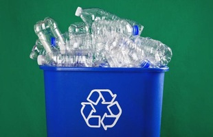 Các nhà khoa học tạo ra loại enzyme đột biến "ăn" gần xong 1 tấn chai nhựa chỉ sau vài giờ