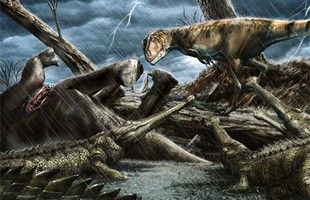 Phát hiện vùng tử thần nguy hiểm nhất Trái đất: "Thánh địa quái thú"