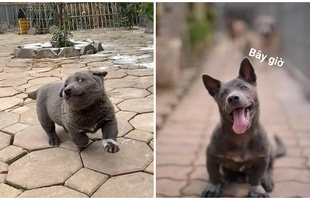 Idol Nguyễn Văn Dúi tung ảnh dậy thì, cộng đồng mạng than thở "Còn đâu thần tượng mắt lác ngày nào"