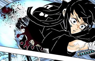 Kimetsu no Yaiba: Điểm danh những kiếm sĩ diệt quỷ đã hy sinh trong trận chiến cuối cùng (P.1)