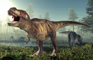 Khủng long T-REX đáng sợ như thế nào?