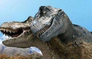 Nghiên cứu mới cho thấy khủng long bạo chúa Tyrannosaurus dựa vào giác quan thứ sáu để "yêu"?