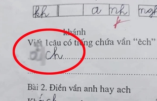 Cô giáo yêu cầu đặt câu có từ chứa vần "ÊCH", bé gái đưa ra câu trả lời khiến người lớn giật mình