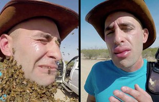 Làm thử thách để 3.000 con ong quây kín mặt, rồi thử "nọc độc" của ong bắp cày, nam YouTuber nhận cái kết đắng ngắt