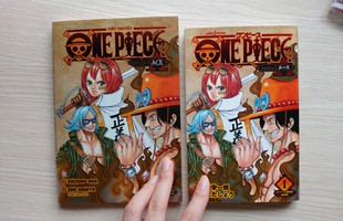 Các fan hâm mộ "người anh quốc dân" sắp có cơ hội sở hữu bộ truyện One Piece Novel: Ace bản tiếng Việt