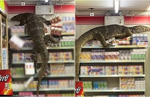 Đói ăn, "quái vật khổng lồ" đột nhập cửa hàng tiện lợi khiến CĐM sợ hãi, ví von như Godzilla
