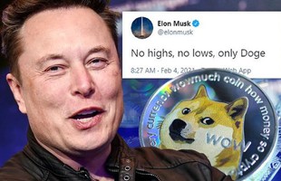 Bạn gái bảo Elon Musk hay "trẻ trâu" trên MXH, dân tình rần rần phản đối, hài hước bảo rằng cứ nhìn giá Bitcoin là biết