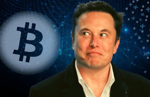 Người dùng Twitter phát hiện ra Elon Musk mua vào 10 nghìn Bitcoin ngay lúc ra tweet "dìm giá"