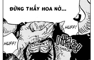 One Piece: Kaido và bài học dành cho Luffy "đừng thấy hoa nở mà ngỡ xuân về"