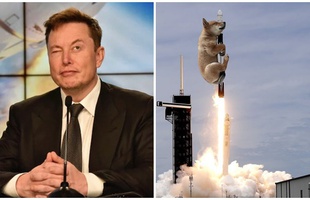 Elon Musk lại "làm phép" trên trang cá nhân, một đồng coin tăng giá tới hơn 1.000% chỉ trong ít giờ