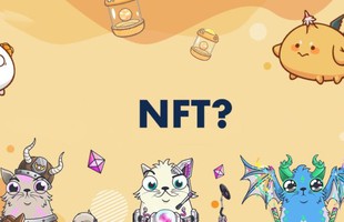 Những lý do khiến game NFT được dự báo sẽ là trào lưu "sớm nở tối tàn" đối với game thủ Việt