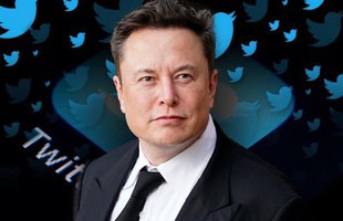 Elon Musk: ‘Tôi sẽ từ chức CEO Twitter khi tìm được ai đó đủ ngốc nghếch’