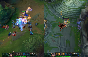 Cộng đồng LMHT phát hiện bug "siêu dị" giữa Tahm Kench và Sett khiến các tướng biến thành Yuumi bản lỗi