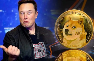 Quyết "phù phép", sống mái với Dogecoin, Elon Musk đề xuất dùng đồng token này để trả dịch vụ Twitter, giá lại lên "phi mã"