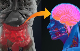 8 bộ phận cơ thể ẩn giấu nhiều điều thú vị mà đến chính bản thân bạn cũng không hề biết