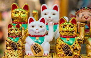 Câu chuyện thú vị về nguồn gốc ra đời tượng mèo Maneki-neko may mắn nổi tiếng của Nhật Bản