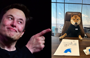 Chuyện gì đây: Elon Musk vừa bổ nhiệm 1 chú cún làm CEO Twitter, khen 'giỏi số má' khiến giá Dogecoin tăng mạnh