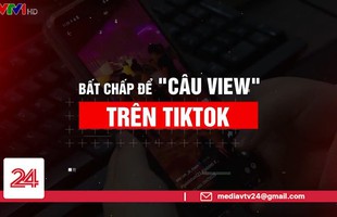 Hành động khó hiểu của TikTok với các content 'không sạch' và bí ẩn 'đẩy view' cho TikToker từng khiến xã hội phẫn nộ?