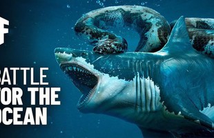 Điều gì sẽ xảy ra nếu cá mập Megalodon chiến đấu với loài trăn khổng lồ Titanoboa?