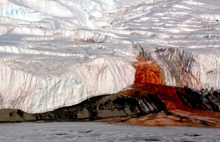 Đã giải đáp hoàn toàn được bí ẩn phía sau thác nước màu đỏ máu ở Nam Cực sau 112 năm