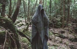 “Cánh rừng tự sát” của Nhật Bản hiện tại thế nào sau nhiều năm gây ám ảnh?