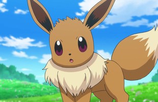 Rò rỉ Pokémon mới tiết lộ sự tiến hóa của Eevee bị cắt bỏ