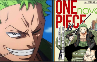 Light Novel One Piece tiết lộ quá khứ của Zoro trước khi gia nhập băng Mũ Rơm