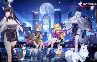 Sau hơn 1 năm chờ đợi, cuối cùng game gacha toàn "cực phẩm waifu" cũng chính thức ra mắt