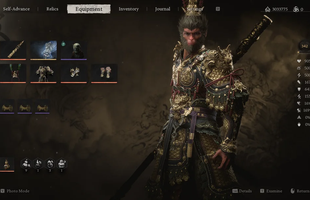 Xuất hiện game thủ Black Myth: Wukong quá "hardcore", đạt cấp độ tối đa, hoàn thành 100% nội dung và thành tựu