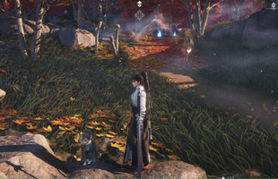 Where Winds Meet: Hướng dẫn cách kiếm điểm khám phá hiệu quả