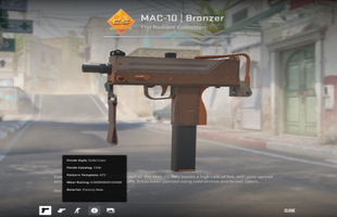 Chi tiền tỷ cho một skin phổ thông, nam game thủ khiến tất cả ngỡ ngàng, lý do thật sự đầy bí ẩn